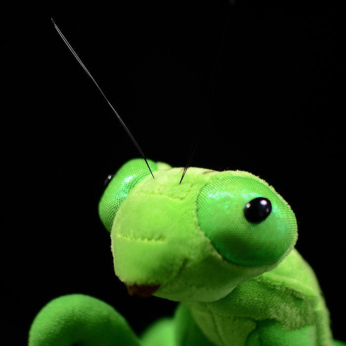 Lifelike Mantis Plush Toys
