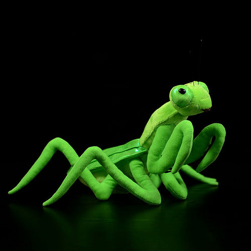 Lifelike Mantis Plush Toys
